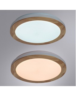 Накладной светильник ARTE Lamp A2685PL-72WH-foto3