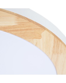 Накладной светильник ARTE Lamp A2685PL-72WH-foto4