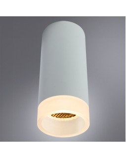 Накладной светильник ARTE Lamp A5556PL-1WH-foto2