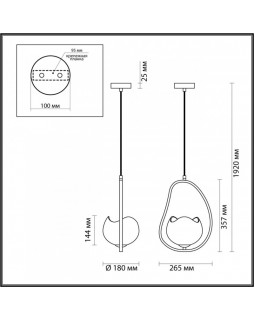 Подвесной светильник Odeon Light 4873/1-foto2