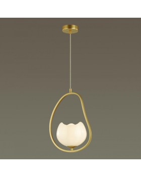 Подвесной светильник Odeon Light 4873/1-foto4