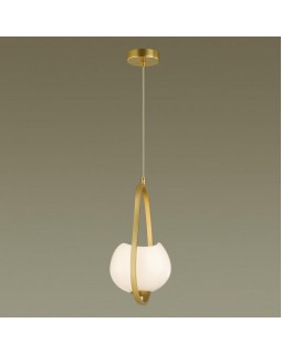 Подвесной светильник Odeon Light 4873/1-foto6