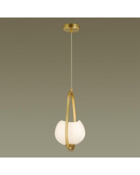 Подвесной светильник Odeon Light 4873/1-foto6