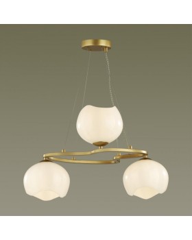 Подвесная люстра Odeon Light 4873/3-foto4