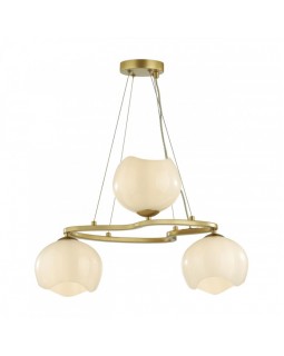 Подвесная люстра Odeon Light 4873/3-foto5