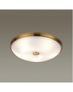 Накладной светильник Odeon Light 4956/5-foto3