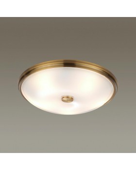 Накладной светильник Odeon Light 4956/5-foto3
