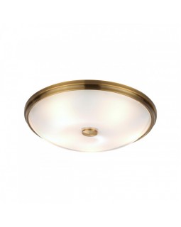 Накладной светильник Odeon Light 4956/5-foto4