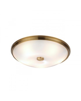 Накладной светильник Odeon Light 4956/5-foto4