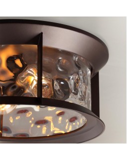 Накладной светильник Odeon Light 4961/2C-foto6
