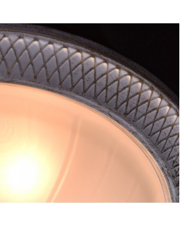 Накладной светильник MW-Light 450013603-foto6