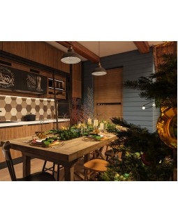 Подвесной светильник Odeon Light 3366/1-foto2