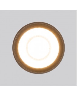 Уличный светильник Elektrostandard Light LED 2105 (35132/H) черный-foto3