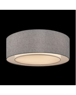 Накладной светильник Maytoni MOD613CL-04GR-foto3