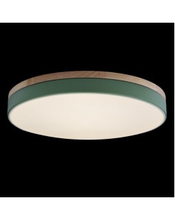 Детский светильник LOFT IT 10001/36 Green-foto2