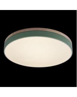 Детский светильник LOFT IT 10001/36 Green-foto3