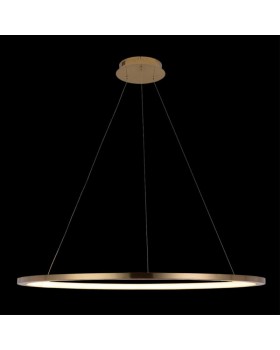 Подвесной светильник LOFT IT 10014XL-foto2