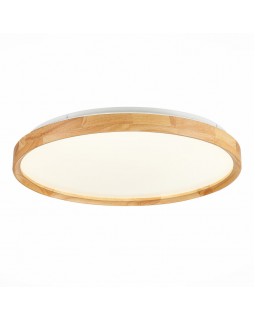 Накладной светильник Evoluce SLE201382-01-foto2