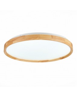 Накладной светильник Evoluce SLE201382-01-foto3