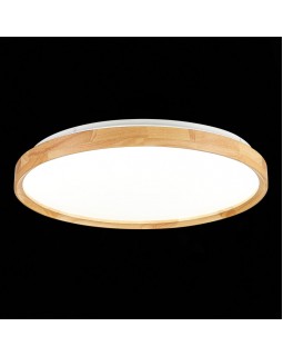 Накладной светильник Evoluce SLE201382-01-foto5