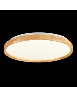 Накладной светильник Evoluce SLE201382-01-foto6