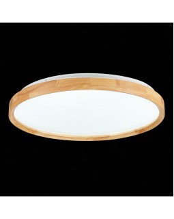 Накладной светильник Evoluce SLE201382-01-foto7