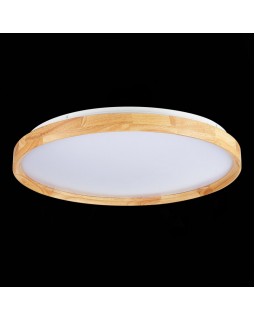 Накладной светильник Evoluce SLE201382-01-foto8