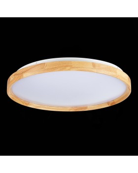 Накладной светильник Evoluce SLE201382-01-foto8