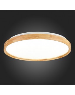 Накладной светильник Evoluce SLE201382-01-foto9