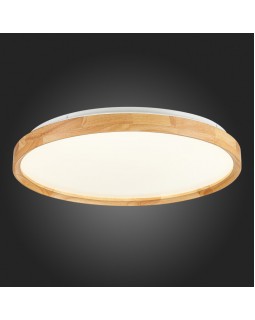 Накладной светильник Evoluce SLE201382-01-foto10