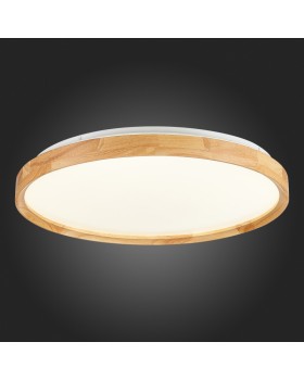 Накладной светильник Evoluce SLE201382-01-foto10