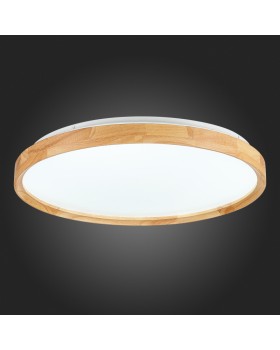 Накладной светильник Evoluce SLE201382-01-foto11