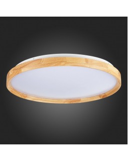 Накладной светильник Evoluce SLE201382-01-foto12