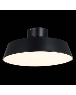 Накладной светильник Evoluce SLE600242-01-foto4