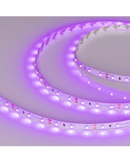 Лента Arlight 013571(2)-foto3