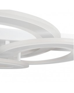 Накладной светильник Freya FR10022CL-L63W-foto5