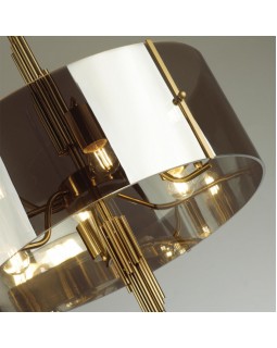 Люстра на штанге Odeon Light 4895/6-foto4