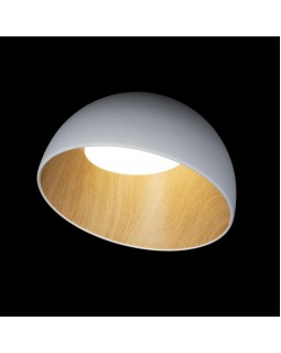 Накладной светильник LOFT IT 10197/350 White-foto2