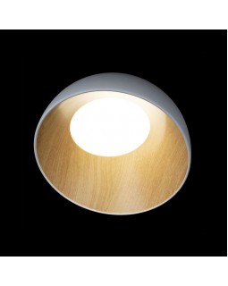 Накладной светильник LOFT IT 10197/350 White-foto4