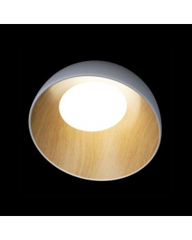 Накладной светильник LOFT IT 10197/350 White-foto4