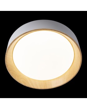 Накладной светильник LOFT IT 10202 White-foto4