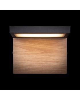 Светильник настенный LOFT IT 100001W-foto7