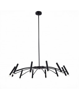 Люстра на штанге ST-Luce SL1214.402.12-foto3
