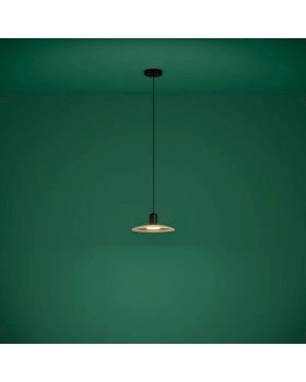 Подвесной светильник EGLO 39911-foto2