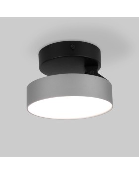 Накладной светильник Elektrostandard Pila серебро 12W 4200К (25135/LED)-foto3