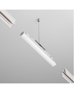 Драйвер Maytoni Technical TRX034DR4-100W-foto4