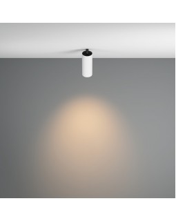 Спот Maytoni Technical C053CL-L12W3K-W-W-foto4