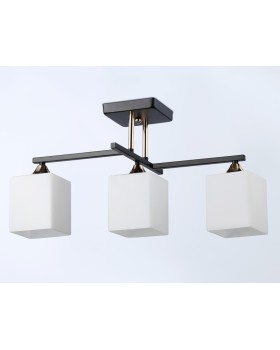 Накладной светильник Ambrella Light TR303114-foto3