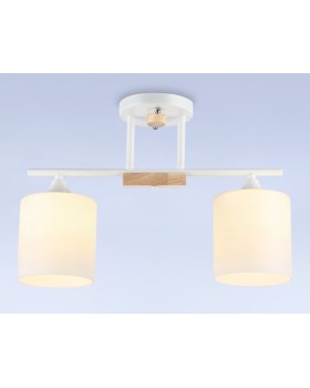 Накладной светильник Ambrella Light TR9541-foto2