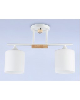 Накладной светильник Ambrella Light TR9541-foto3